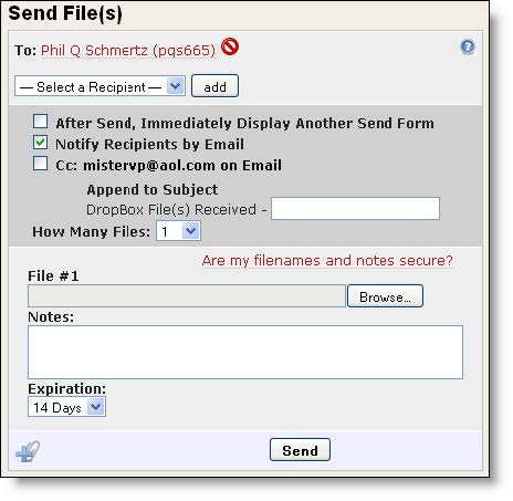 Dropbox Send File(s) page showing options