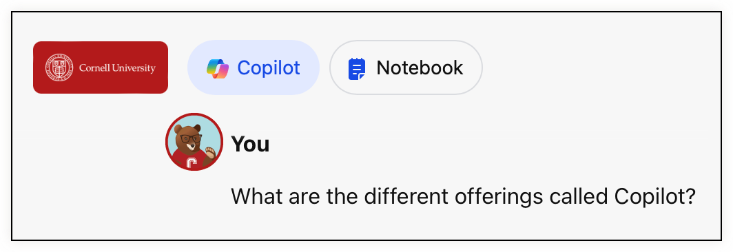 copilot prompt: What are the different offerings called Copilot?