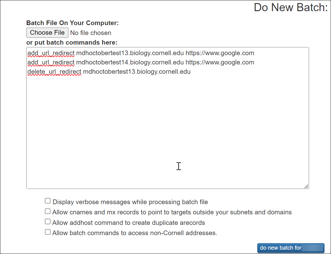 Example of DNS batch commands.