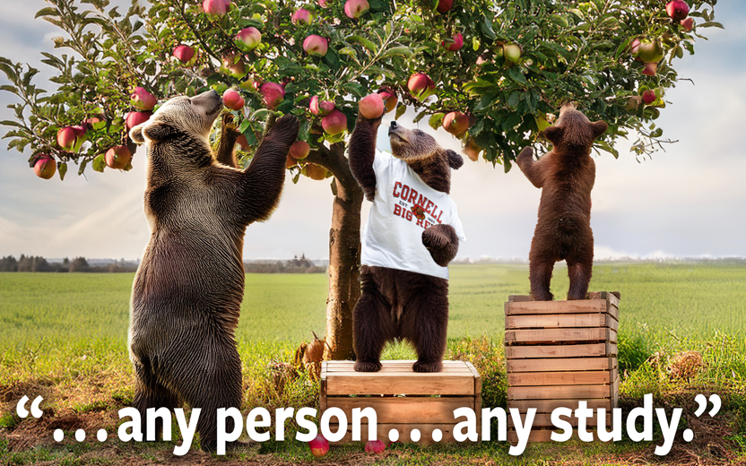 Three bears standing under an apple tree, picking apples; each is a different height, and the two shorter bears stand on appropriately-sized boxes to help them reach the apples; the middle bear wears a Cornell Big Red shirt and the Cornell motto of any person, any study is superimposed over the bottom of the image