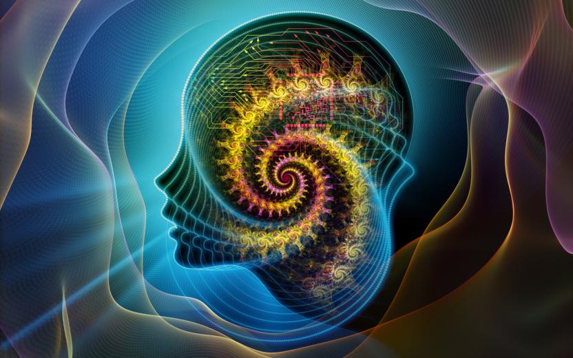 A fractal shown in the outline of a person's head