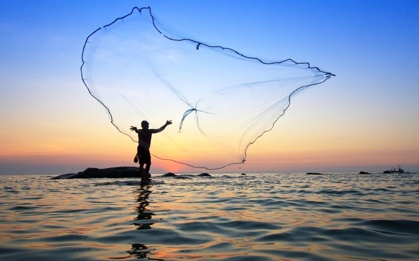 a fisherman throws a wide net for a large catch