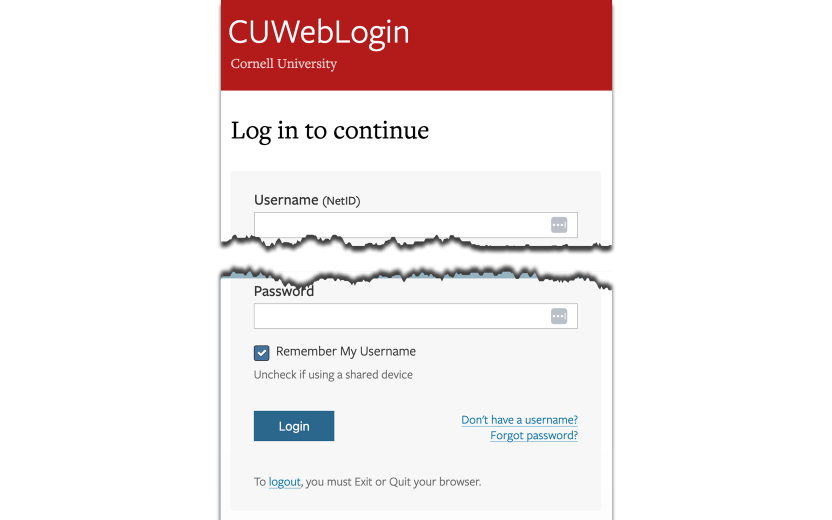 Image shows a tear between username and password fields