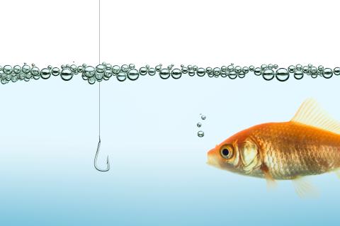 a fish looks at a hook with skepticism