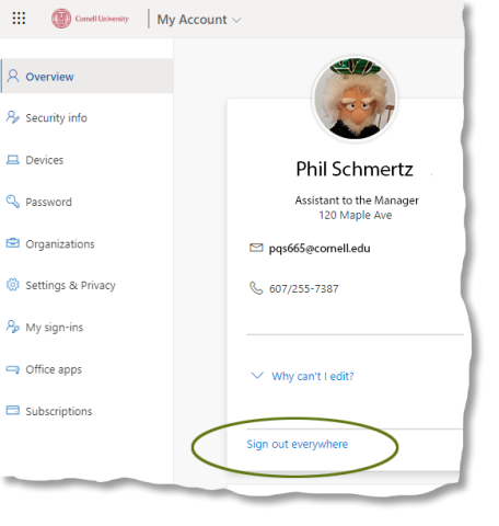 This option appears in the Overview menu option
