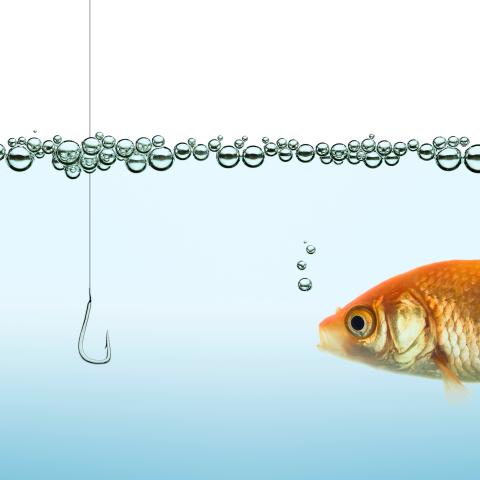 a fish looks at a hook with skepticism