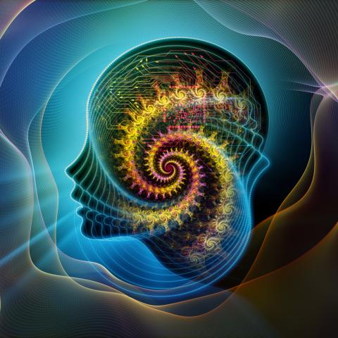 A fractal shown in the outline of a person's head