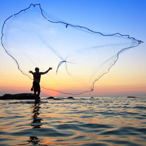a fisherman throws a wide net for a large catch